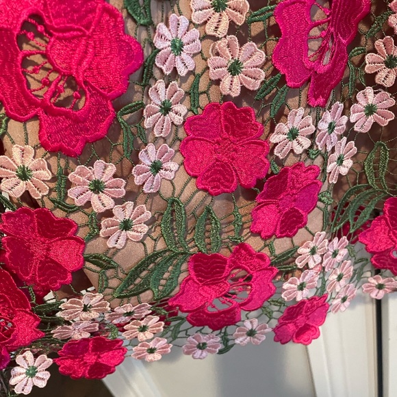 Dress the Population Lace Mina Cocktail Dress - Picture 3 of 5